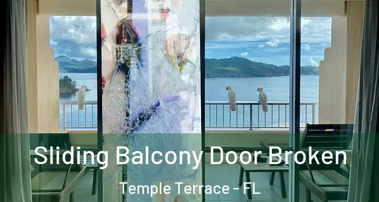  Sliding Balcony Door Broken Temple Terrace - FL