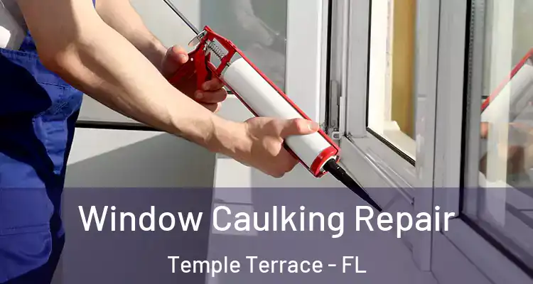  Window Caulking Repair Temple Terrace - FL